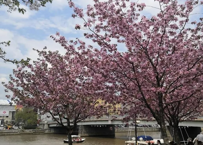 Apartment Great Location, Ac, Parking, Ev Loading, Wifi *